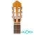 GUITARRA CLÁSICA ANTONIO PINTO CARVALHO CAR