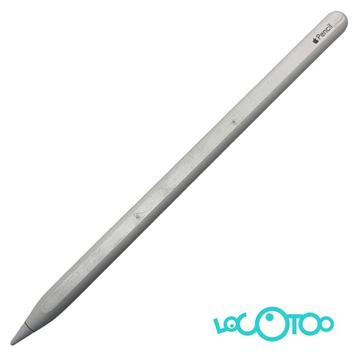 RATON APPLE PENCIL 2 GEN