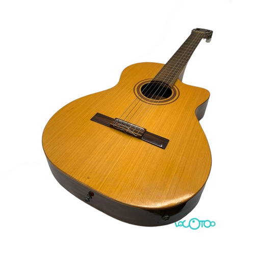 GUITARRA ELECTRO ACÚSTICA DI GIORGIO Nº 18