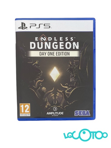 ENDLESS DUNGEON DAY ONE EDITION PS5