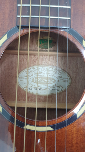 Guitarra Acústica WASHBURN WL012SE 6 Cuerda