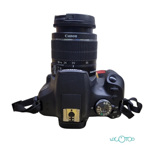 CANON EOS 2000D + EF-S18-55mm 1:3.5-5.6 III