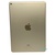 IPAD AIR 2 2 GB 16 GB 