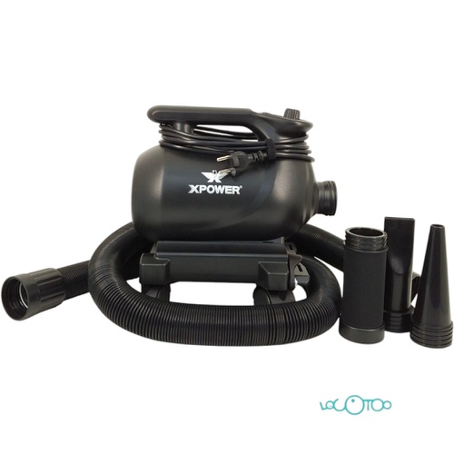 SECADOR PARA COCHE CON BASE MOVIL XPOWER A-