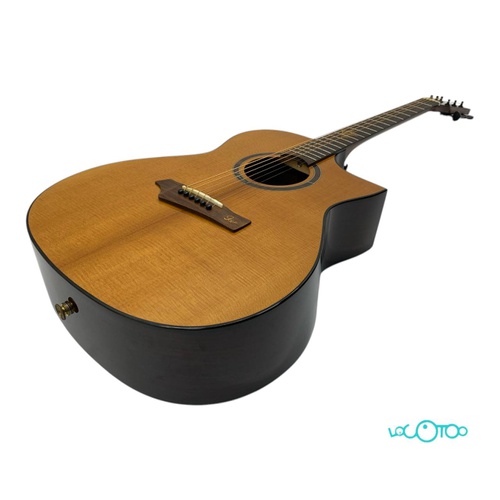 GUITARRA ACUSTICA GOPHER WOOD 