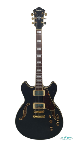 Guitarra Eléctrica IBANEZ AS73G/BKF 5B-04 6