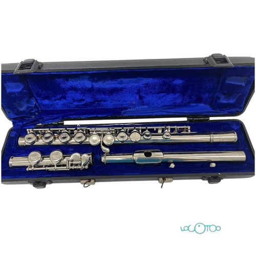 FLAUTA EASTMAN TRAVESERA 3PIEZAS