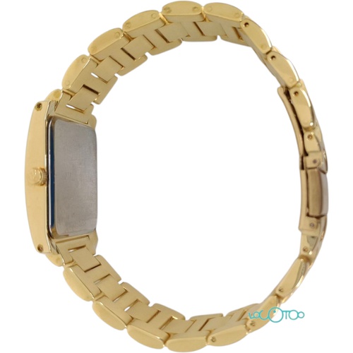 RELOJ DE PULSERA PAUL VERSAN PV22-BCH