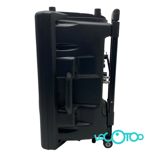 Altavoz Autoamplificado IBIZA SOUND PORT12V