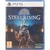 STEELRISING SONY PS5