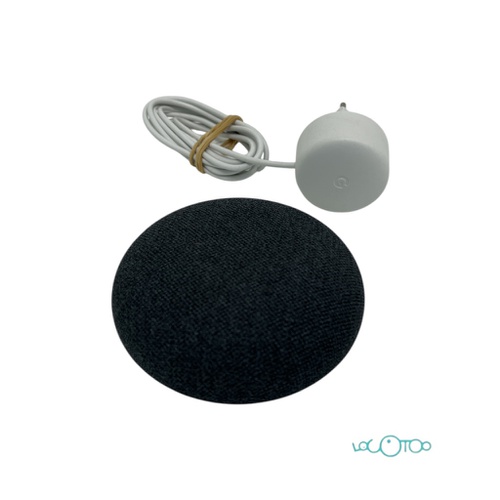 Asistente Smart Home GOOGLE H2C