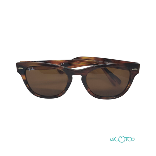 GAFAS DE SOL RAYBAN RB2201 LARAMIE