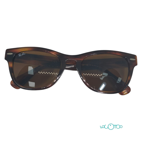 GAFAS DE SOL RAYBAN RB2201 LARAMIE