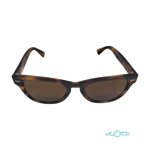 GAFAS DE SOL RAYBAN RB2201 LARAMIE
