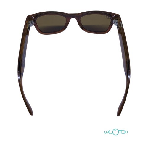 RAY BAN P META WAYFARER XXL IA