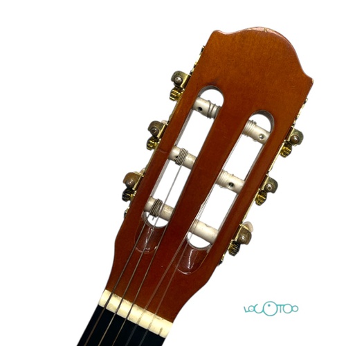 GUITARRA CLASICA ASHLEY CG453