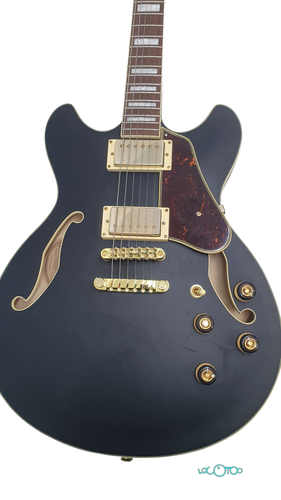 Guitarra Eléctrica IBANEZ AS73G/BKF 5B-04 6