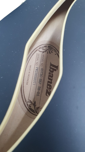 Guitarra Eléctrica IBANEZ AS73G/BKF 5B-04 6