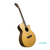 GUITARRA ACUSTICA TANGLEWOOD DISCOVERY DBT 
