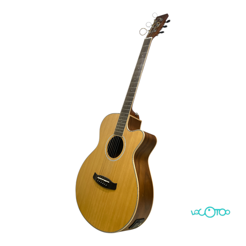 GUITARRA ACUSTICA TANGLEWOOD DISCOVERY DBT 