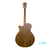 GUITARRA ACUSTICA TANGLEWOOD DISCOVERY DBT 