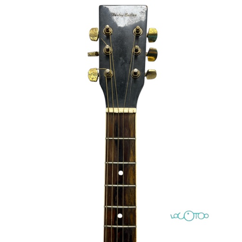 Guitarra Clásica HARLEY BENTON D-120CE BK