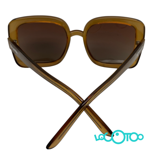 Gafas de Sol D FRANKLIN DFKSUN143