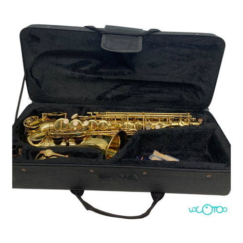 Saxofón J MICHAEL AL 500