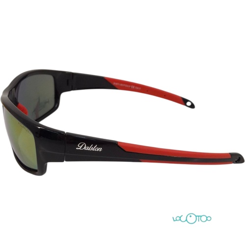 GAFAS DE SOL DALSTON 62D17-122