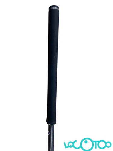 CAÑA CINNETIC SEA BASS 300MH (20-80)