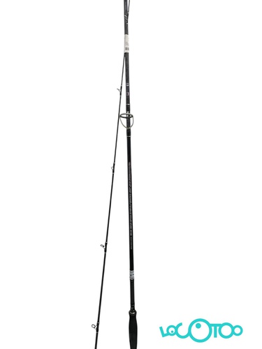 CAÑA CINNETIC SEA BASS 300MH (20-80)