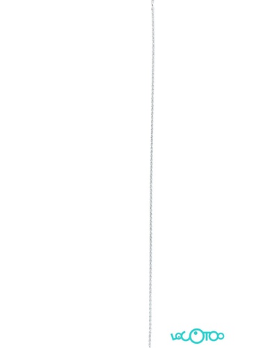 CADENA PLATA RD100/60