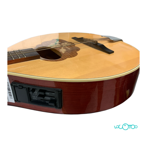 Varios Equipamiento Musical THOMANN IRISH B