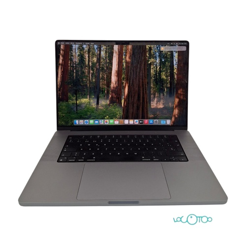 PORTATIL APPLE MACBOOK PRO A2485 1TB SSD 32