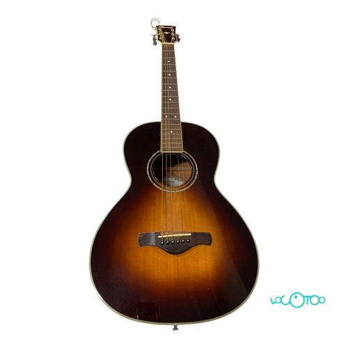GUITARRA ACUSTICA IBANEZ AVN1-BS (FALTA 1 C
