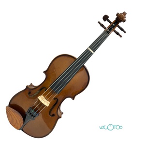 Violín