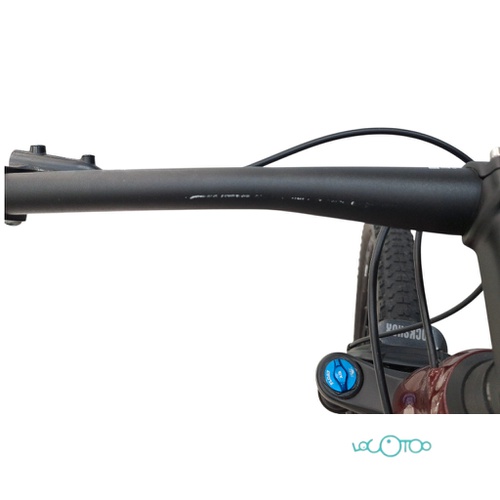 BICICLETA MONTAÑA BH ULTIMATE RC