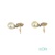 PENDIENTES ORO 18K BICOLOR