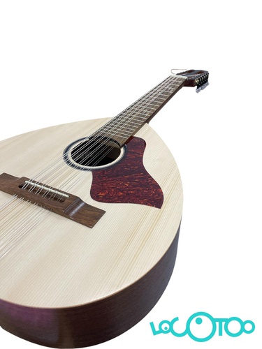 LAUD DE ANTONIO PINTO CARVALHO