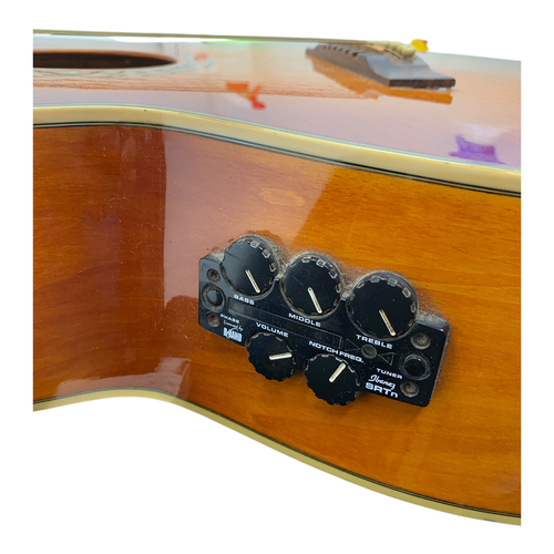 Guitarra Acústica IBANEZ AEL20EVV1202 6 Cue