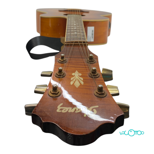 Guitarra Acústica IBANEZ AEL20EVV1202 6 Cue