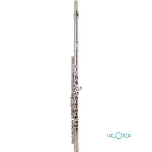 FLAUTA TRAVESERA BRESSANT ONE FL-100