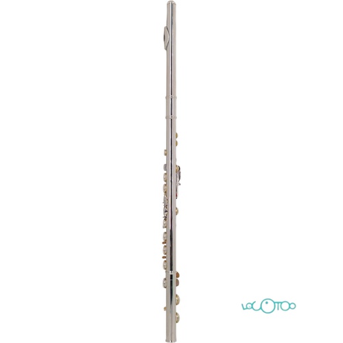 FLAUTA TRAVESERA BRESSANT ONE FL-100