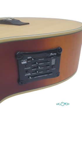 Guitarra Acústica IBANEZ AEL40SE-RLV 6 Cuer
