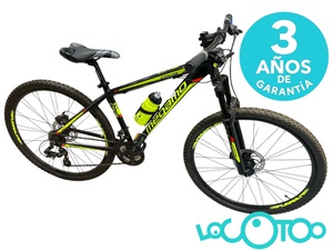Bicicleta Montaña
