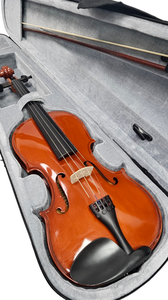 Violín