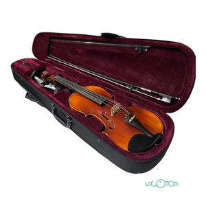 Violín