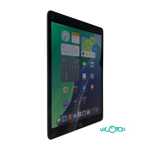 APPLE IPAD 9ª GEN 10.2 64GB WIFI GRIS ESPAC