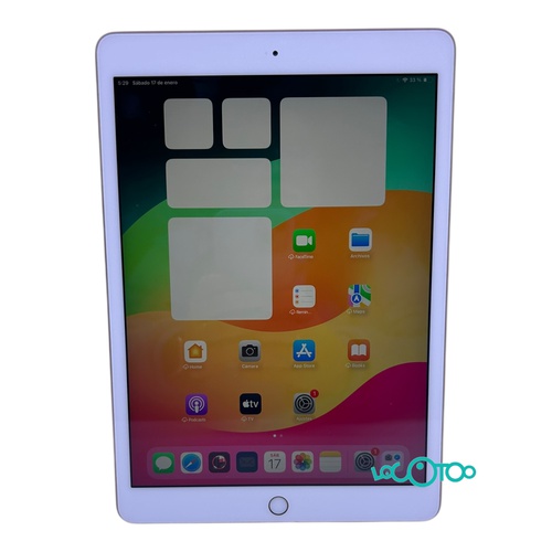 APPLE IPAD (7 GENERACION) (WI-FI) (A2197) 3