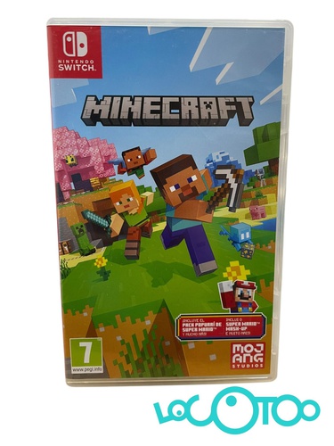 NINTENDO SWITCH MINECRAFT 